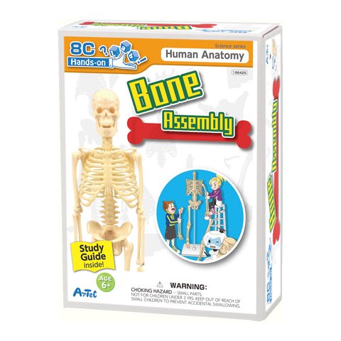 Artec Bone Assembly